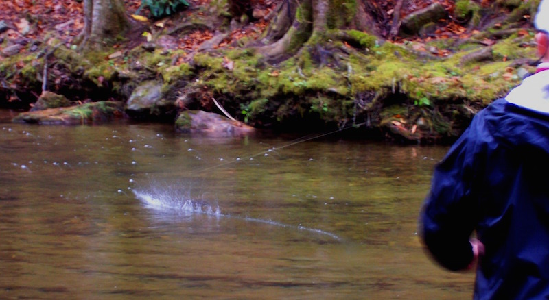 River Hooks - Fly Fishing