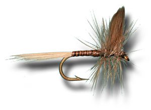 Blue Quill Dry Fly