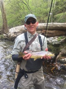 Wild Smoky Mountain Brown Trout