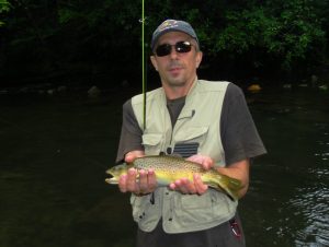 Brown Trout Little River Smoky Mountains