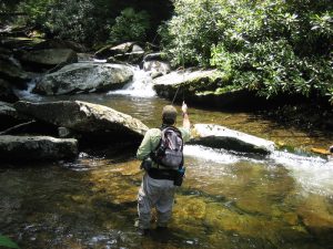 Fishing a Smoky Mountain Brook Trout Stream