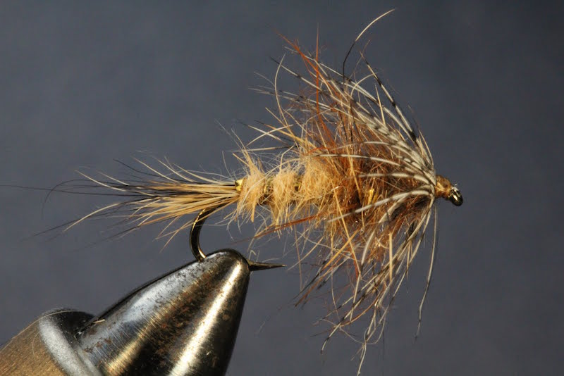 Red Fox Squirrel Nymph Fly Pattern