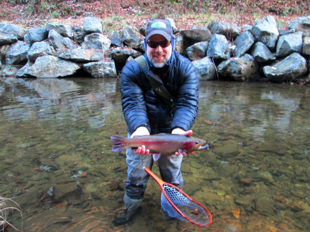 Rainbow trout in the winter