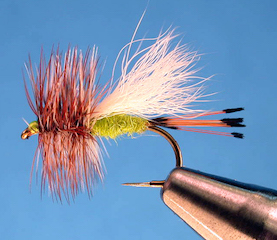 Lime Trude Fly Pattern