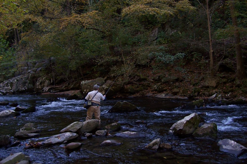 High Sticking a Mountain Stream