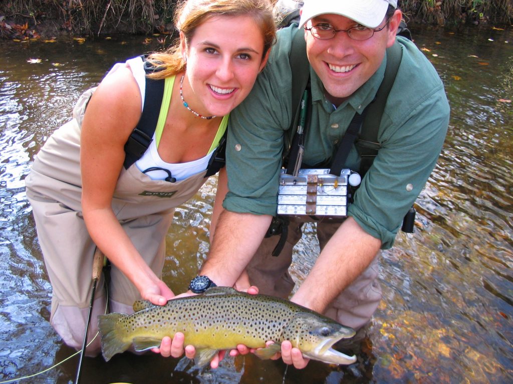 Brown Trout Feeding