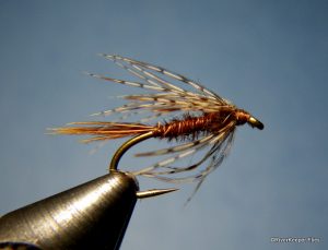 Soft Hackle Pheasant Tail Fly Pattern
