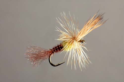 Quigley Cripple Fly Pattern