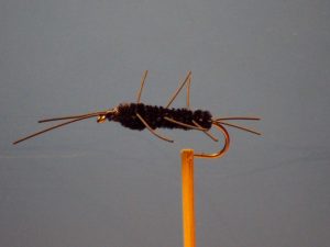 Girdle Bug Fly Pattern