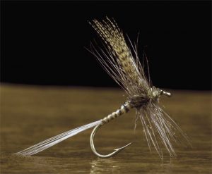 Quill Gordon Fly Pattern