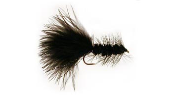 Groundhog Caddis - Fly Tying Appalachian/Great Smoky Mountain Trout Flies 