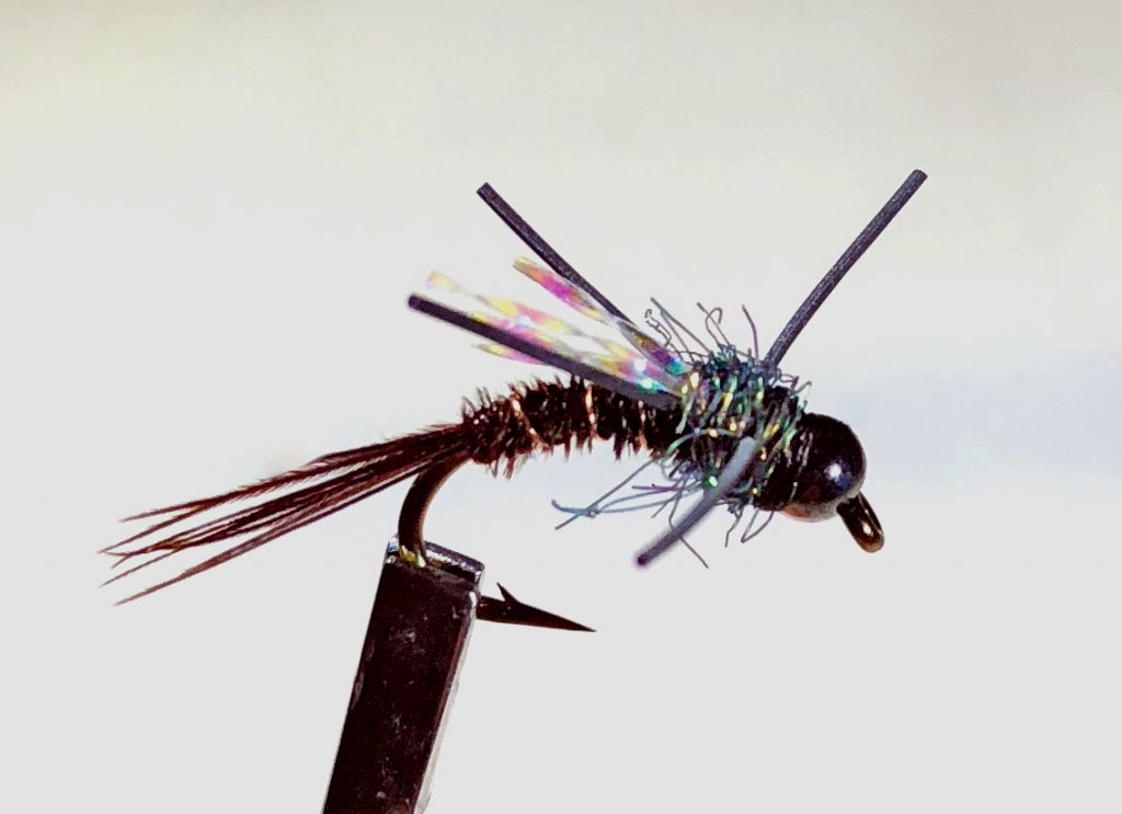 Pheasant Tail Nymph