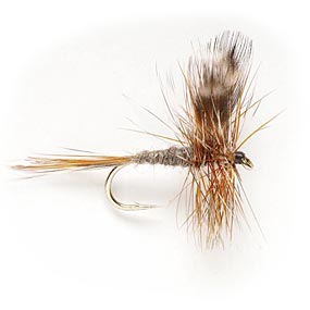 ADAMS - Hook Size #12 – Rocky Mountain Fly Shop