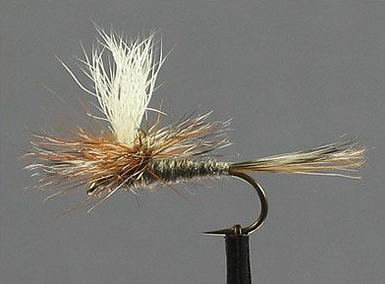 Flies: Parachute Adams - Fightmaster Fly Fishing Fightmaster Fly