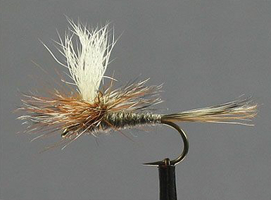 Flies – Dry – Fightmaster Flyfishing Journal