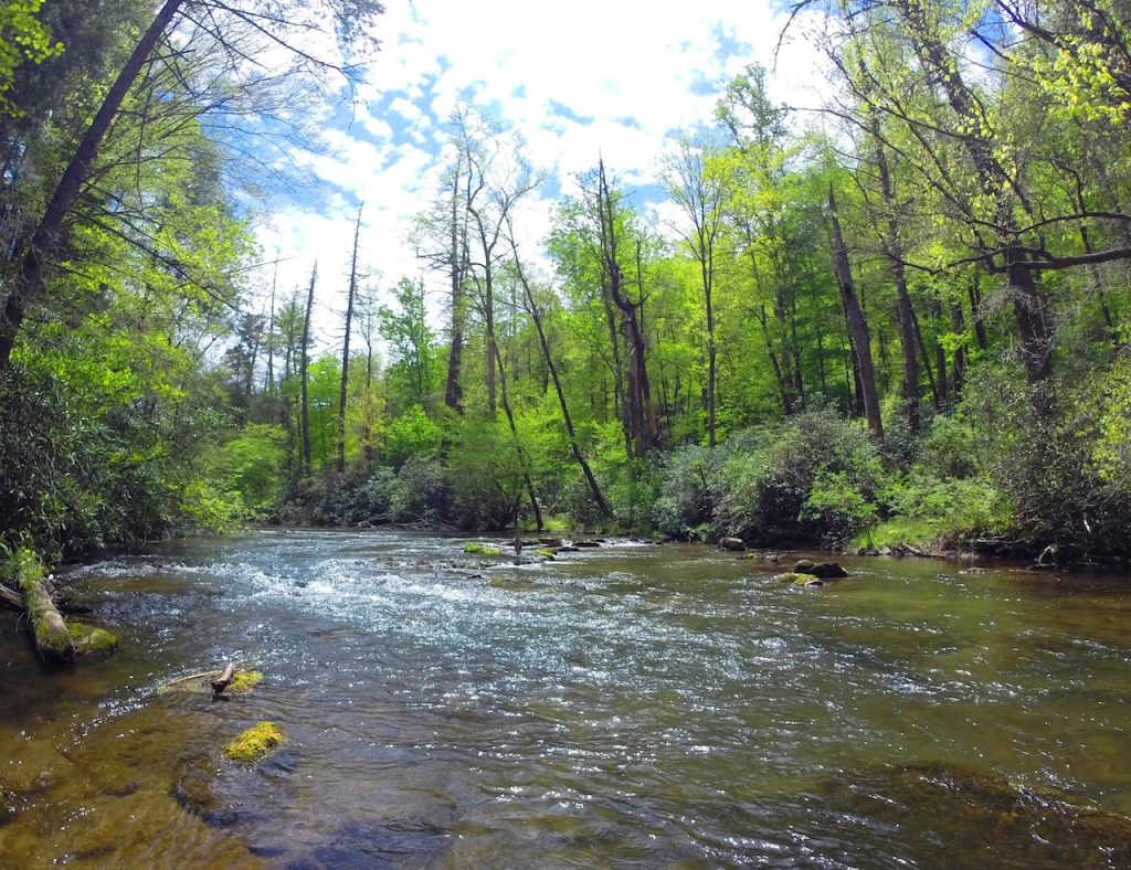 Early Spring on Abrams Creek