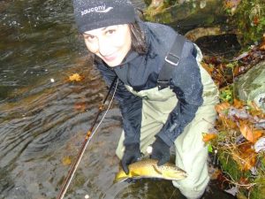 Little River Brown Trout Smoky Mountains