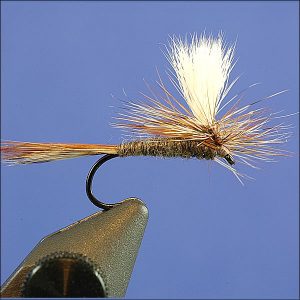 Parachute Adams Dry Fly