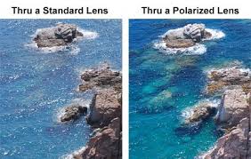 Viewing Water Through a Polarized Lens