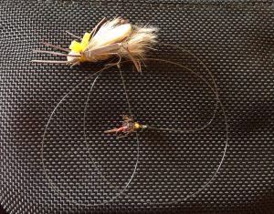 Dry Fly with a Nymph Dropper