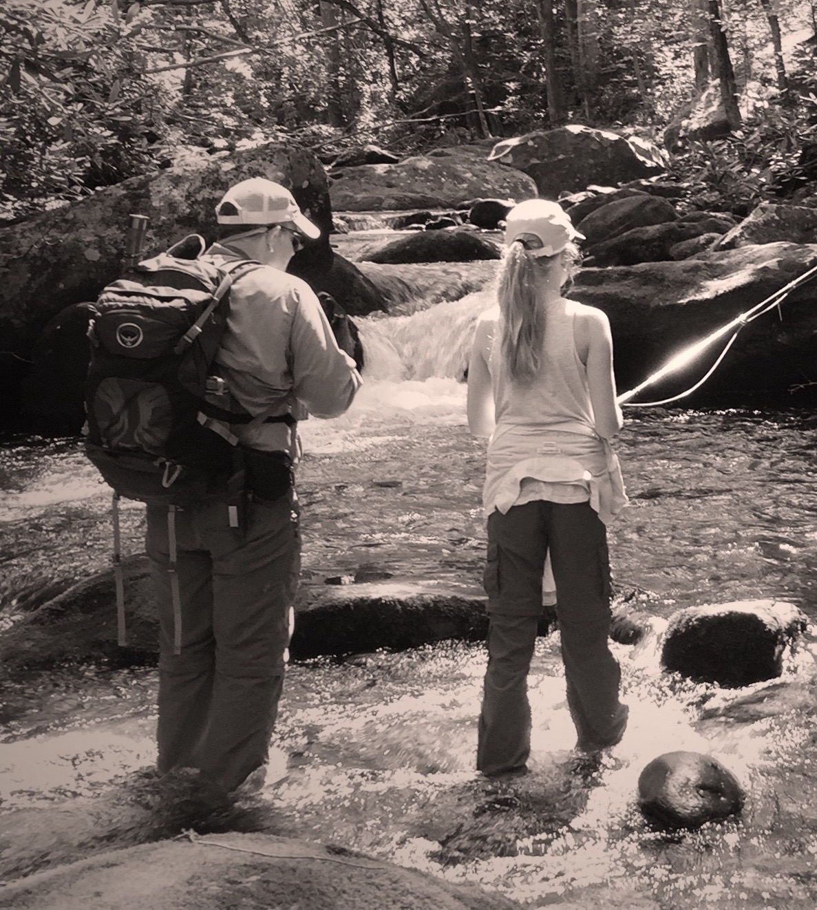 Guided Fly Fishing in the Smoky Mountains